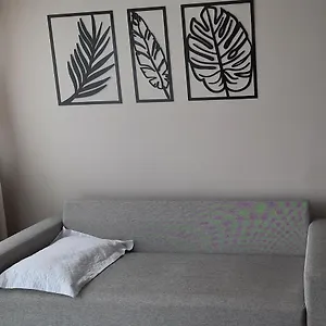 Apartamento Inteiro E Completo Em Moderno E Confortável, Tijucas